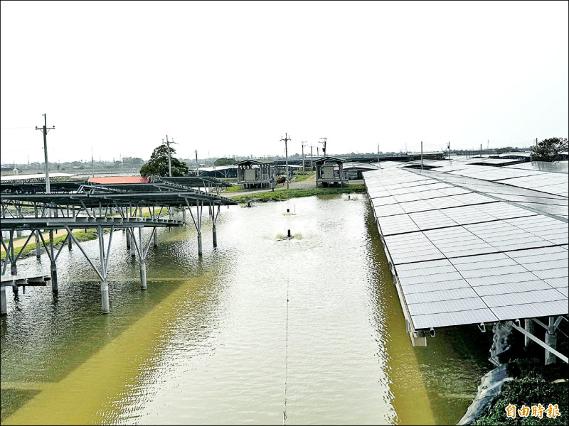 台泥綠能嘉義漁電案場推動產銷履歷計畫